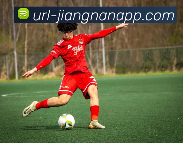 App 展示图